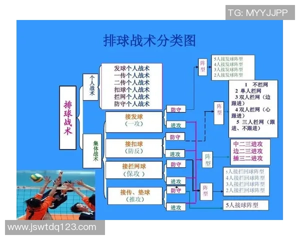 武汉排球队防反战术解析与比赛表现深度剖析