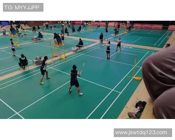 杭州羽毛球队展现卓越团队协作精神与竞技风采的深度点评